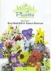 Quantum Leap Publisher A World of Plants: Spring Photo