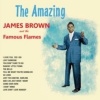 Hallmark The Amazing James Brown and the Famous Flames Photo