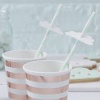 Ginger Ray Hello World - Straws Photo