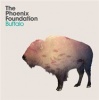 Buffalo Photo