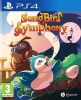 Songbird Symphony Photo
