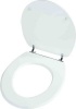 Wildberry Deluxe Toilet Seat Photo