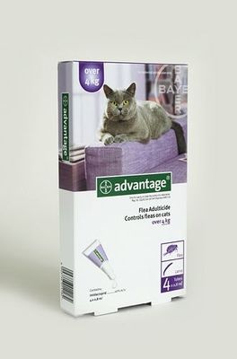 Photo of Bayer Advantage - Large Cats