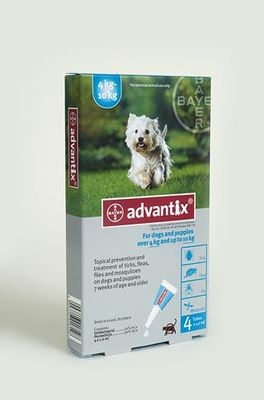 Photo of Bayer Advantix - Medium Dog
