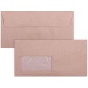 Leo DLB Window Gummed Envelopes Photo