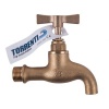 Torrenti Tap Brass Plain 200 Bulk Pack of 2 Photo