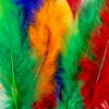 Dala Craft Feathers Photo