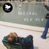 Hubro Ulv Ulv Photo