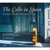 The Cello in Spain Photo