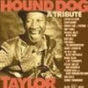 Hound Dog Taylor Photo