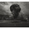 Roadrunner Press In Waves Photo