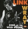 King of the Wild Guitar Photo