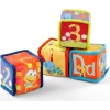 Bright Starts Grab and Stack Blocks Photo