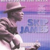 Blues From The Delta Photo