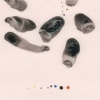Impressions Photo