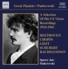 Paderewski: A Selection of His US Victor Recordings Photo