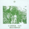 Camper Van Beethoven 2 & 3 Photo