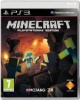 Sony Computer Entertainment Minecraft Photo