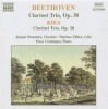 CLARINET TRIO - Ludwig Van Beethoven Photo
