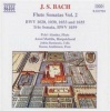 Naxos Flute Sonatas - Vol. 2 Photo