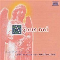 Photo of Classical Music for Reflection and Meditation - Agnus Dei