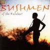 Bushmen of Kalahari Photo