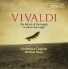Vivaldi: The Return of the Angels Photo