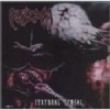 Cerebral Cereal CD Photo