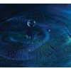 Floating World Records Tone Poems Photo