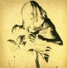 Hyena Songbones Photo