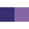Lascaux Studio - Violet Photo