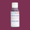 Colourist Heat Transfer Paint S1 - Burgundy Photo