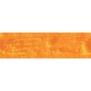 Caran Dache Artist Neopastel - Orange Photo