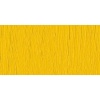 Jacksons Jackson's Artist Oil Paint - Cadmium Yellow Genuine Photo