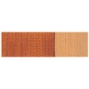 Maimeri Classico Fine Oil Colour - Raw Sienna Photo