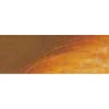 Rembrandt Talens Oil Colour Tube - Raw Sienna Photo