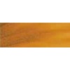 Rembrandt Talens Oil Colour Tube - Deep Gold Photo