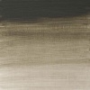 Winsor Newton Winsor And Newton Artists Oil Tube - Davys Gray Photo