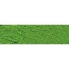Williamsburg Oil Colour - Cadmium Green Photo