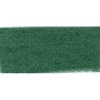 PanPastel - Permanent Green Extra Dark Tint 1 Photo