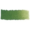 Schmincke Horadam Watercolour - Chromium Oxide Green Photo