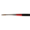 Daler Rowney Georgian Oil Brush - G61 Sable Round - 10 Photo