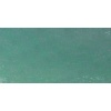 Mount Vision Soft Pastel - Cool Summer Green 833 Photo