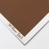 Canson Mi-Teintes Touch Pastel Paper - 133 Sepia Photo