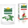 Moringa Powder and Tea - Apple & Cinnamon Infusion Photo