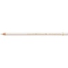 Faber Castell Faber-Castell Pencil Polychromos 101 Photo