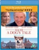 E V Publications Hachi - A Dog's Tale Photo