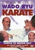 Advanced Wado Ryu Karate Photo
