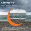 Charlotte Bray: At the Speed of Stillness Photo