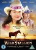 The Wild Stallion Photo